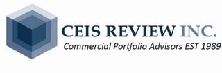 CEIS Review (New description) (1)-1