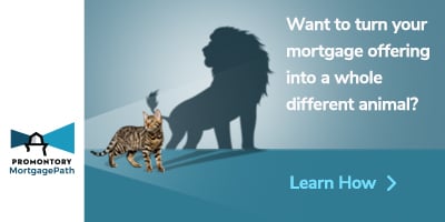 PMP-CatLion-Banner-400x200 (002)